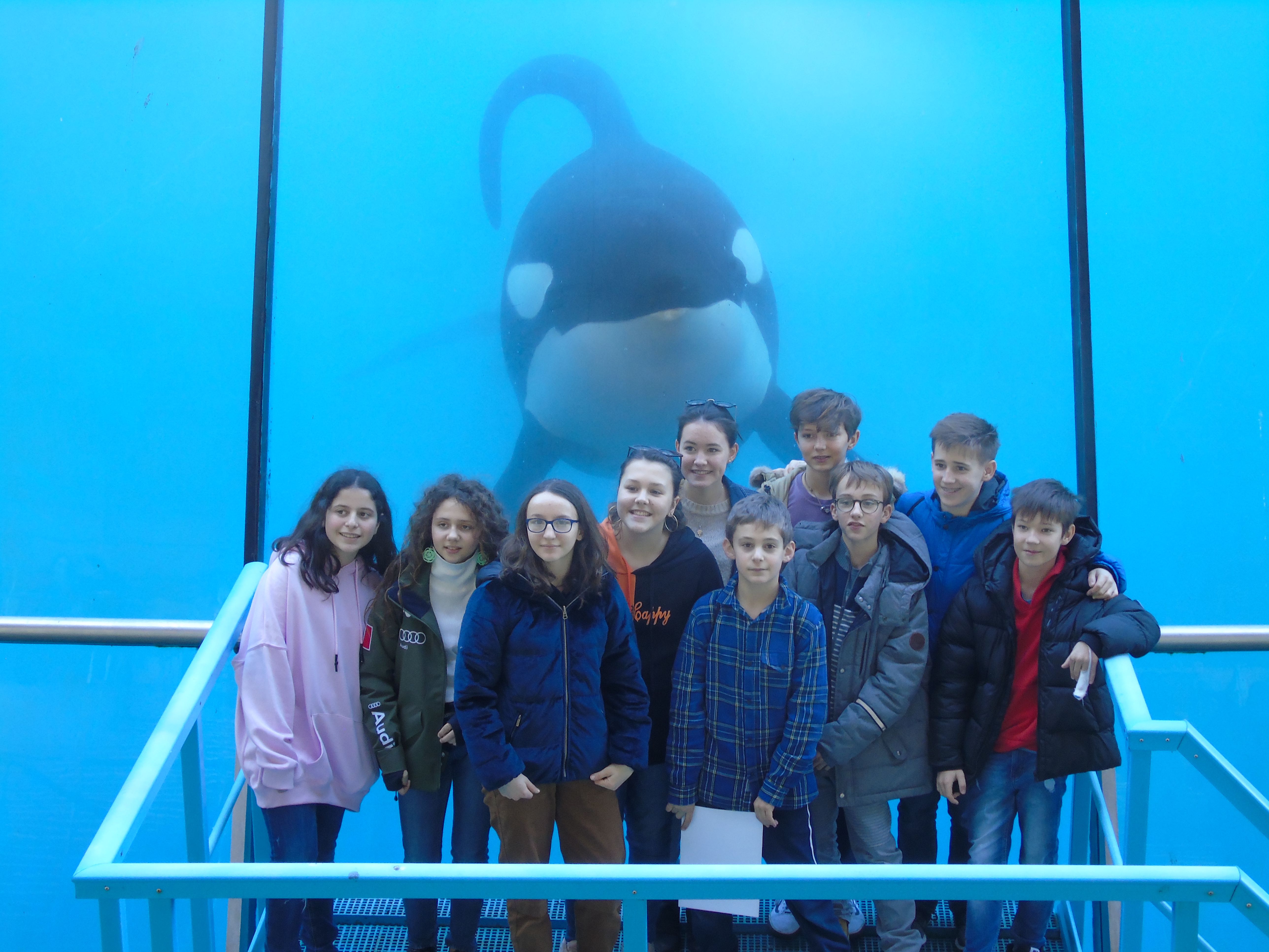 Marineland 2019